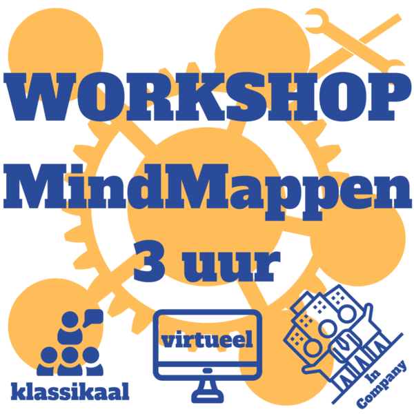 WorkShop Oriëntatie MindMappen 3 uur